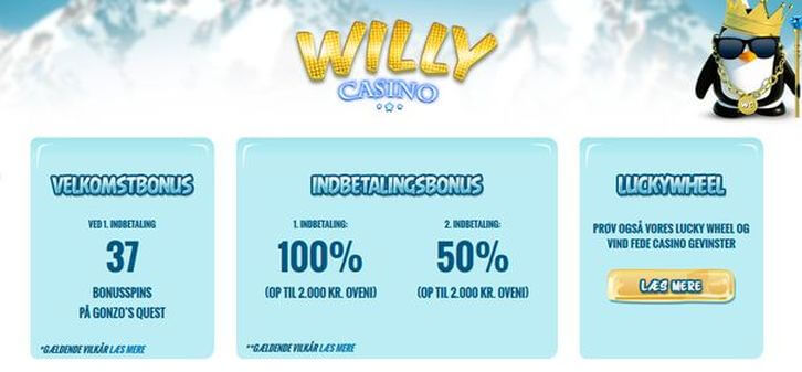 Willi Casino main page